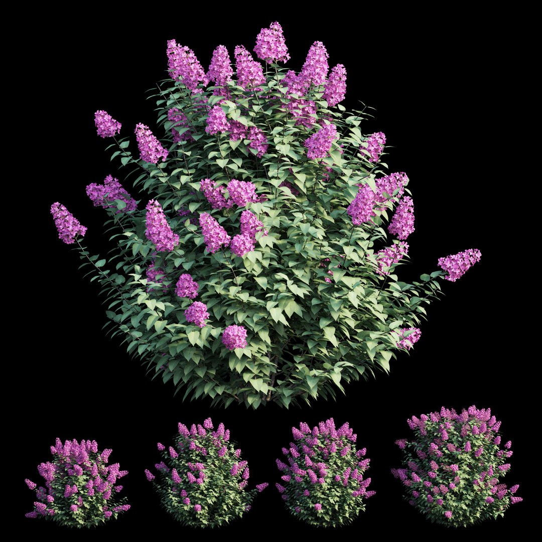 dwarf tree model https://p.turbosquid.com/ts-thumb/Ot/gBcE2S/zesyq3Us/view04/jpg/1597652362/1920x1080/fit_q87/8979f21391e8c9ba37f82f3b806f9c51f23ead76/view04.jpg