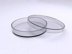 Petri Dish