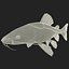 Redtail Catfish