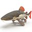 Redtail Catfish