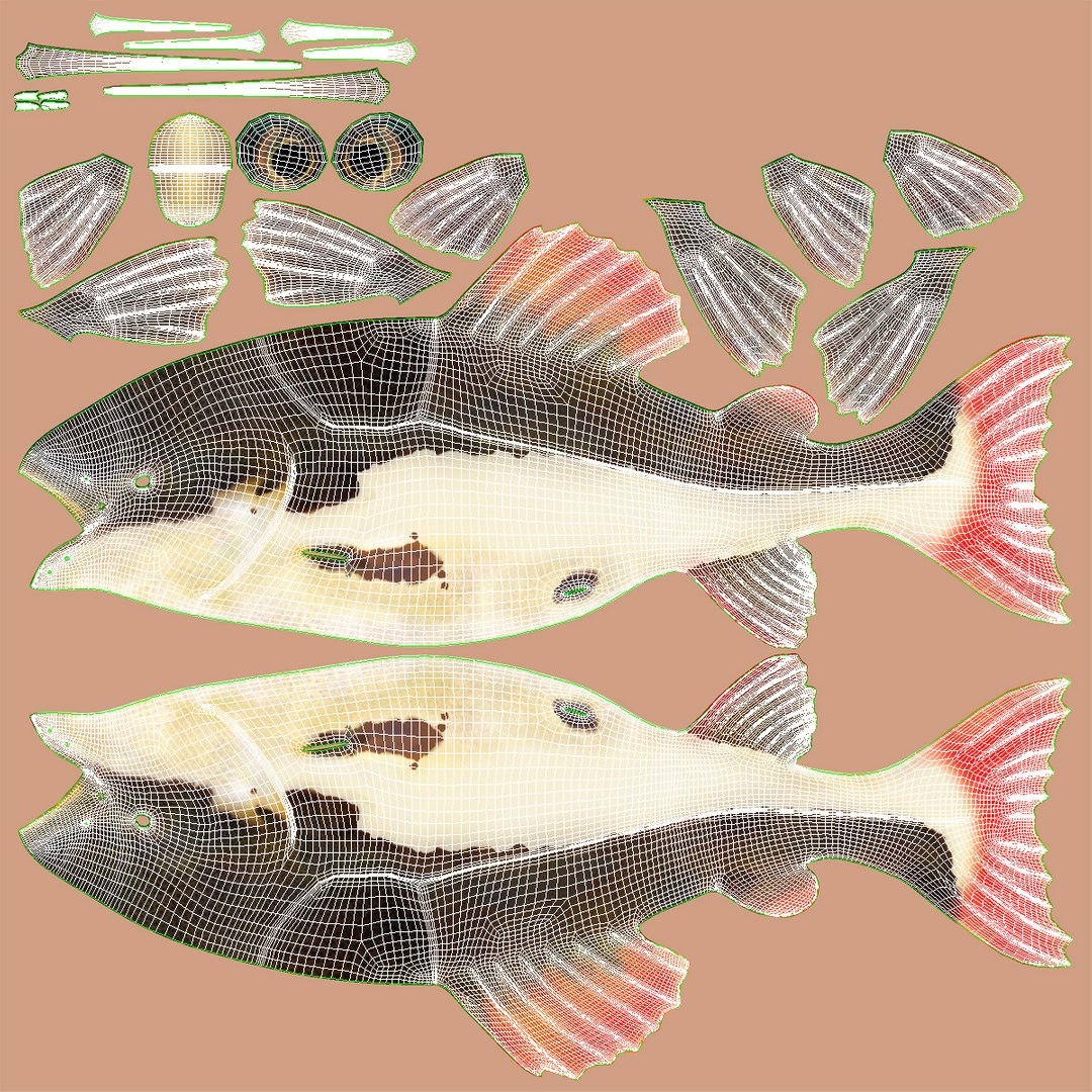 3d model redtail catfish https://p.turbosquid.com/ts-thumb/Ot/pWB2km/bm4kLUmu/redtailcatfish_5/jpg/1417030093/1920x1080/fit_q87/bacbf045a8c2ac5dfd1a3ad9274be8b1e5624a45/redtailcatfish_5.jpg