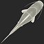 Redtail Catfish