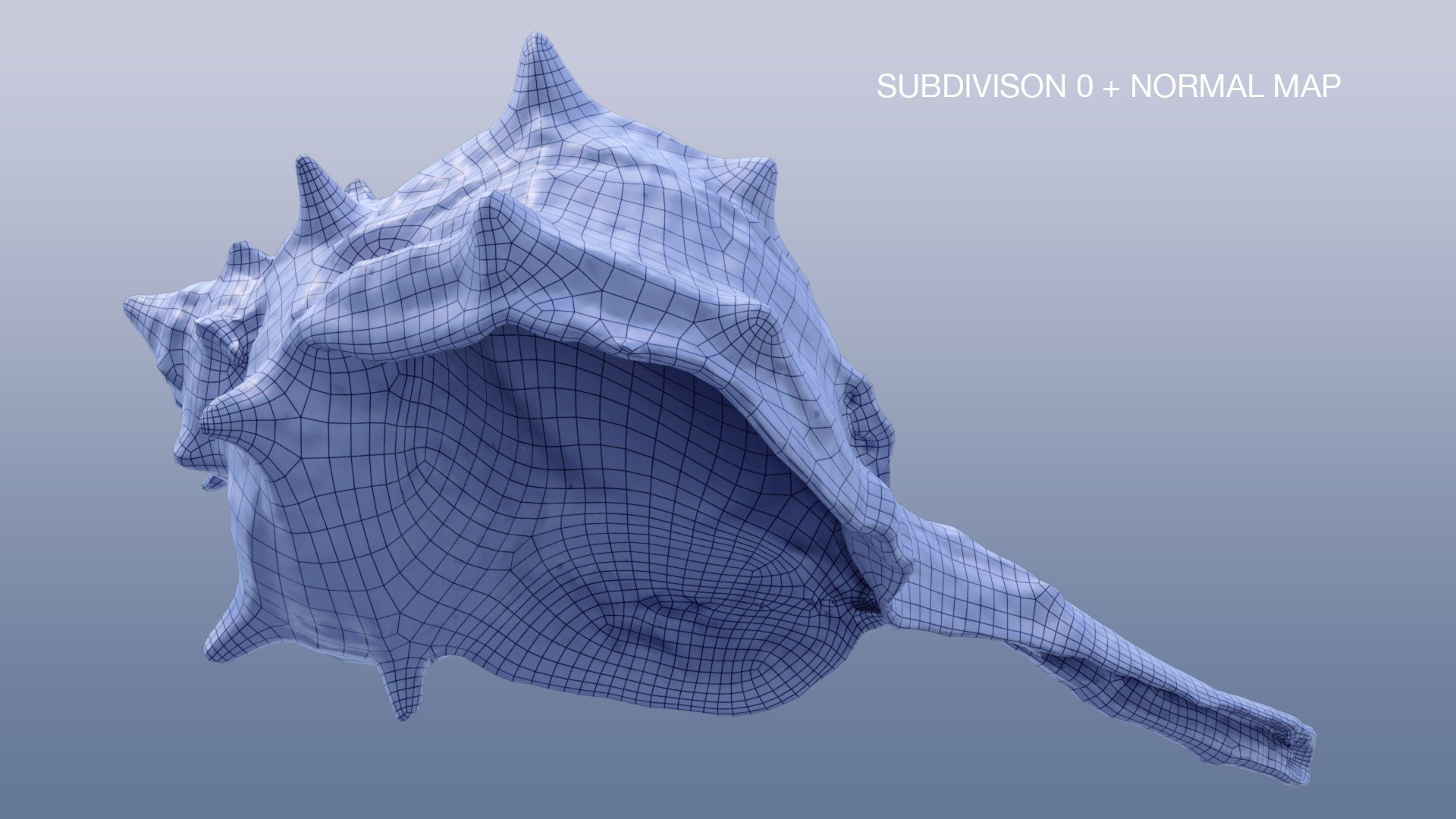 Spiky SeaShell Murex bolinus brandaris 3D model https://p.turbosquid.com/ts-thumb/Ot/wmMy60/gC/w4/jpg/1662934546/1920x1080/fit_q87/b702026b1d7f068b048a465b3b6fac940da054ef/w4.jpg