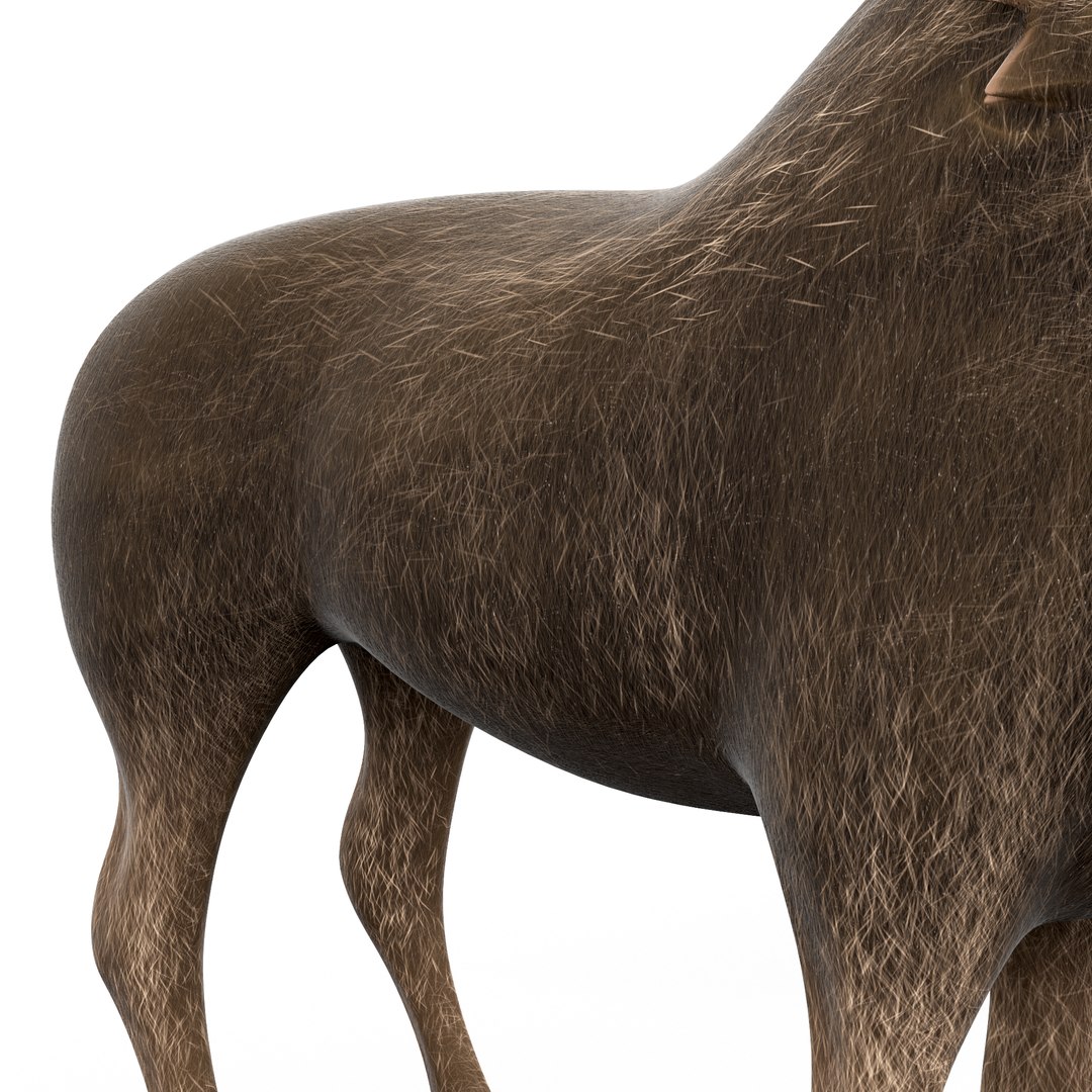 moose cartoon rigged 3D model https://p.turbosquid.com/ts-thumb/Ou/2HeuiG/6YoqOgmi/moose_cartoon8/png/1606141651/1920x1080/fit_q87/8f8c3f5e9e9d39907d3b3d4b7d2850e5e8c3f20b/moose_cartoon8.jpg