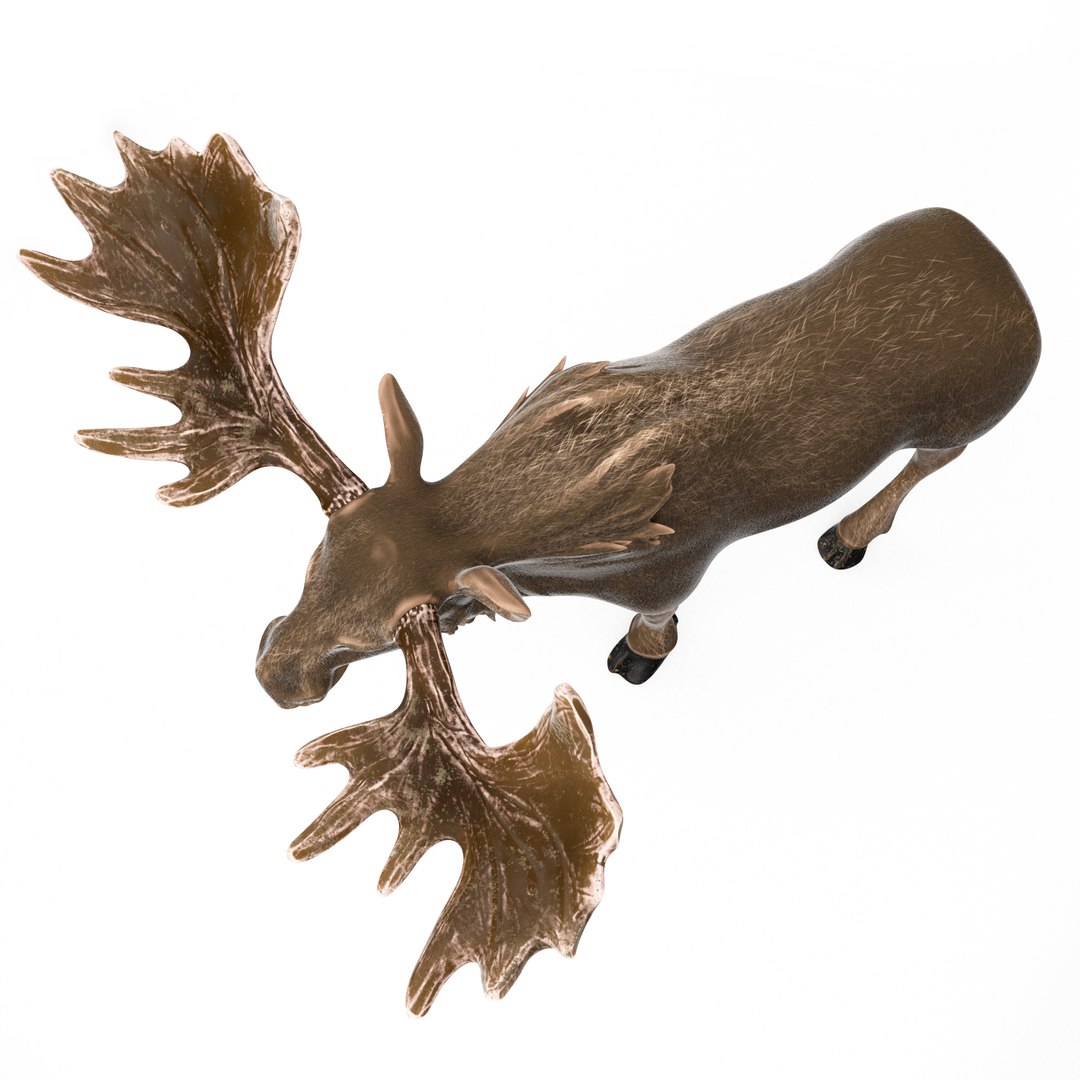 moose cartoon rigged 3D model https://p.turbosquid.com/ts-thumb/Ou/2HeuiG/RrOPAejL/moose_cartoon7/png/1606141651/1920x1080/fit_q87/a427284ed0f09a4dd855c5822036eefb557027fa/moose_cartoon7.jpg