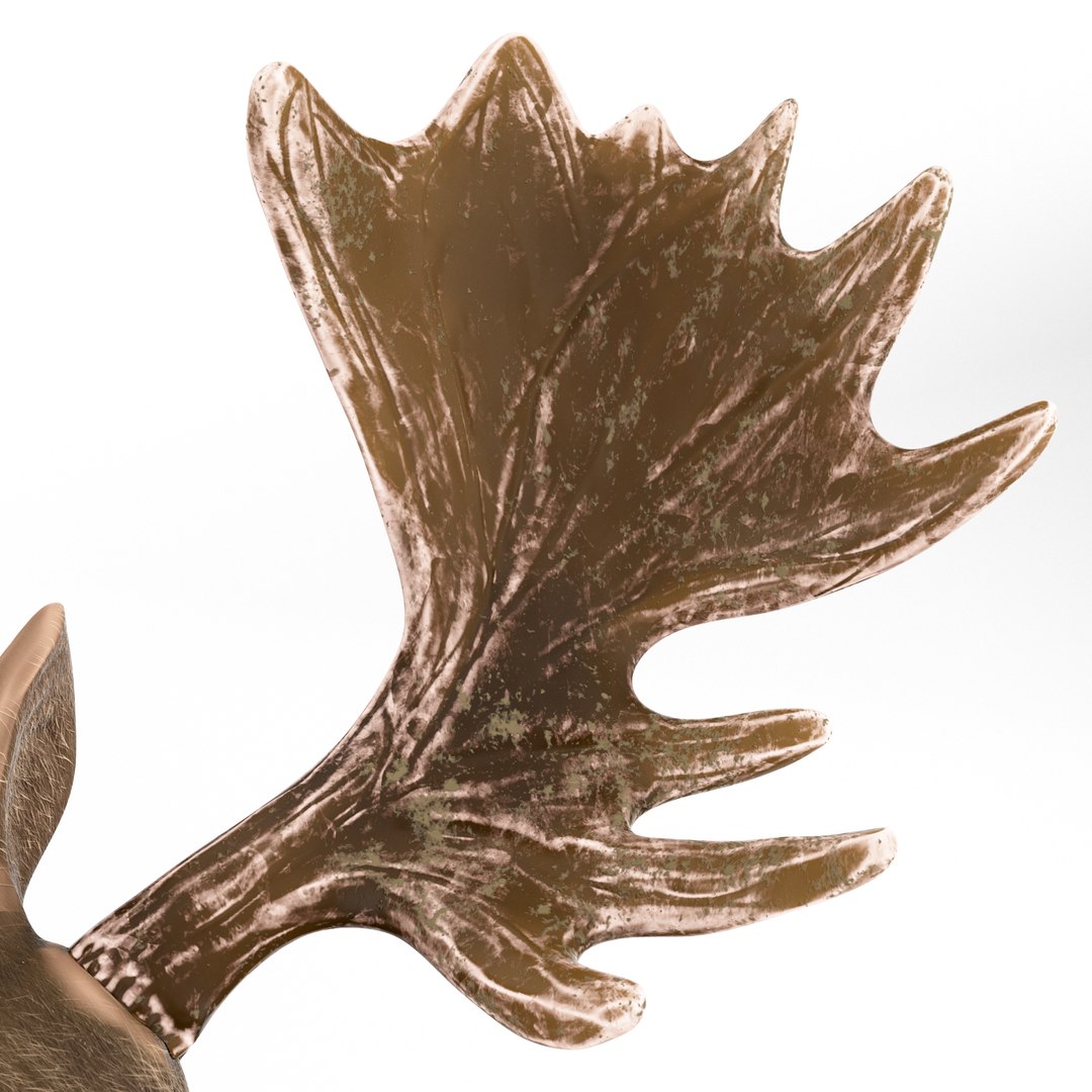 moose cartoon rigged 3D model https://p.turbosquid.com/ts-thumb/Ou/2HeuiG/aIDhsOEX/moose_cartoon9/png/1606141651/1920x1080/fit_q87/657f5719f03e5ac39b37cb60a19b2f45e65cc3e4/moose_cartoon9.jpg