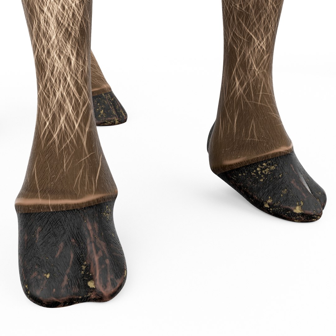 moose cartoon rigged 3D model https://p.turbosquid.com/ts-thumb/Ou/2HeuiG/q3JO8sIc/moose_cartoon6/png/1606141651/1920x1080/fit_q87/925c8bd31ebec548e54833b2a17f4409ff340f42/moose_cartoon6.jpg
