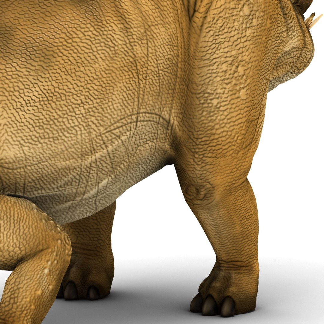 Stegosaurus Pose 2 3d Model