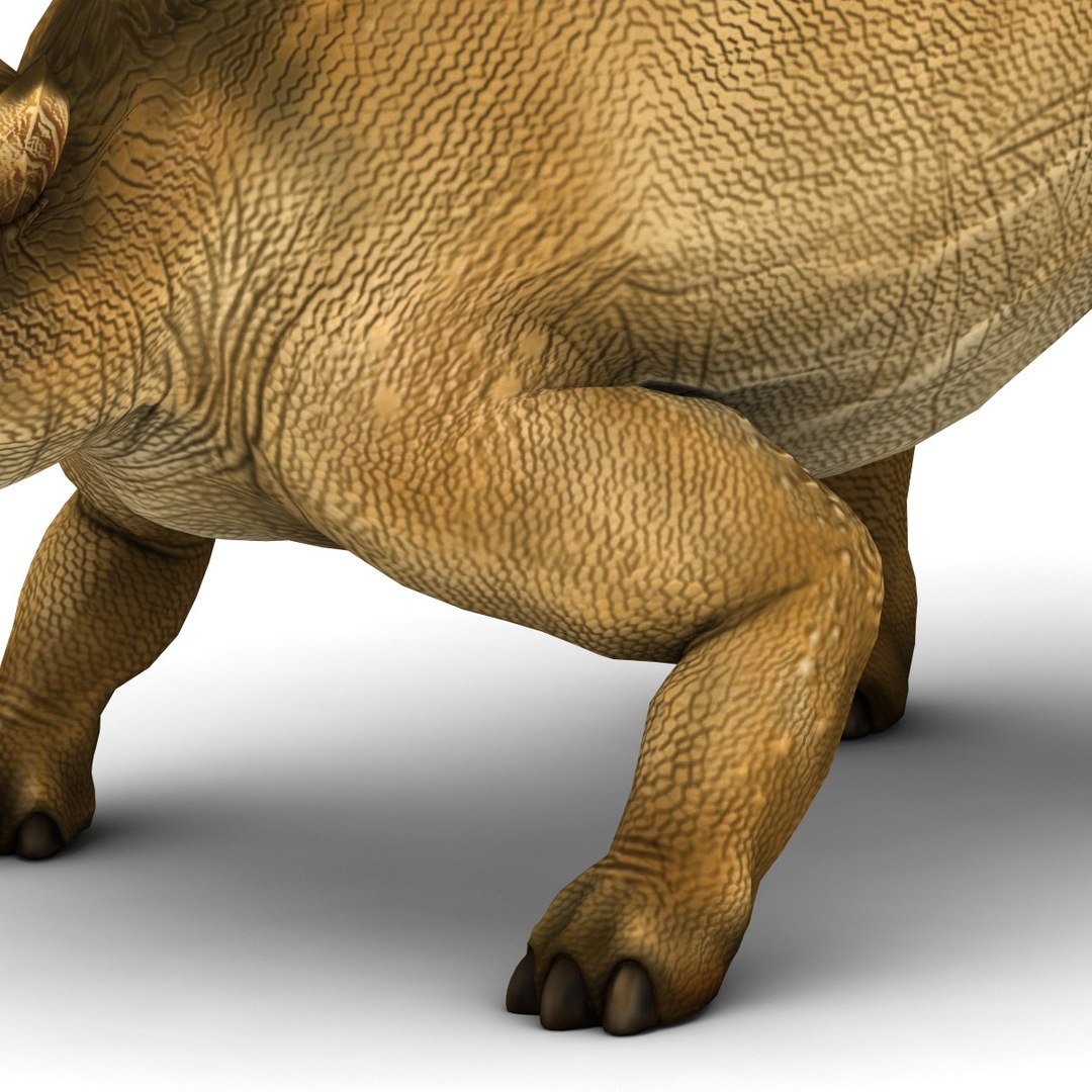 stegosaurus pose 2 3d model