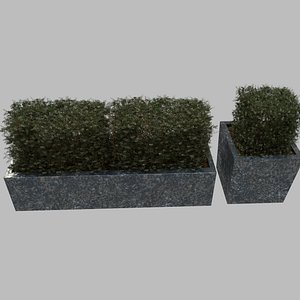 planter plant granite obj