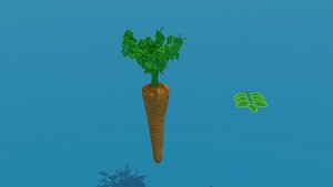 orange carrot 3D