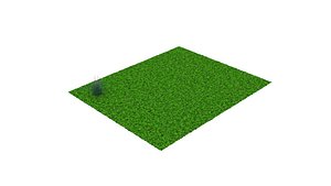 grass flower 3D