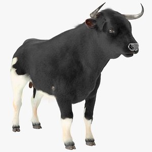 Black Bull Fur Rigged 3D model