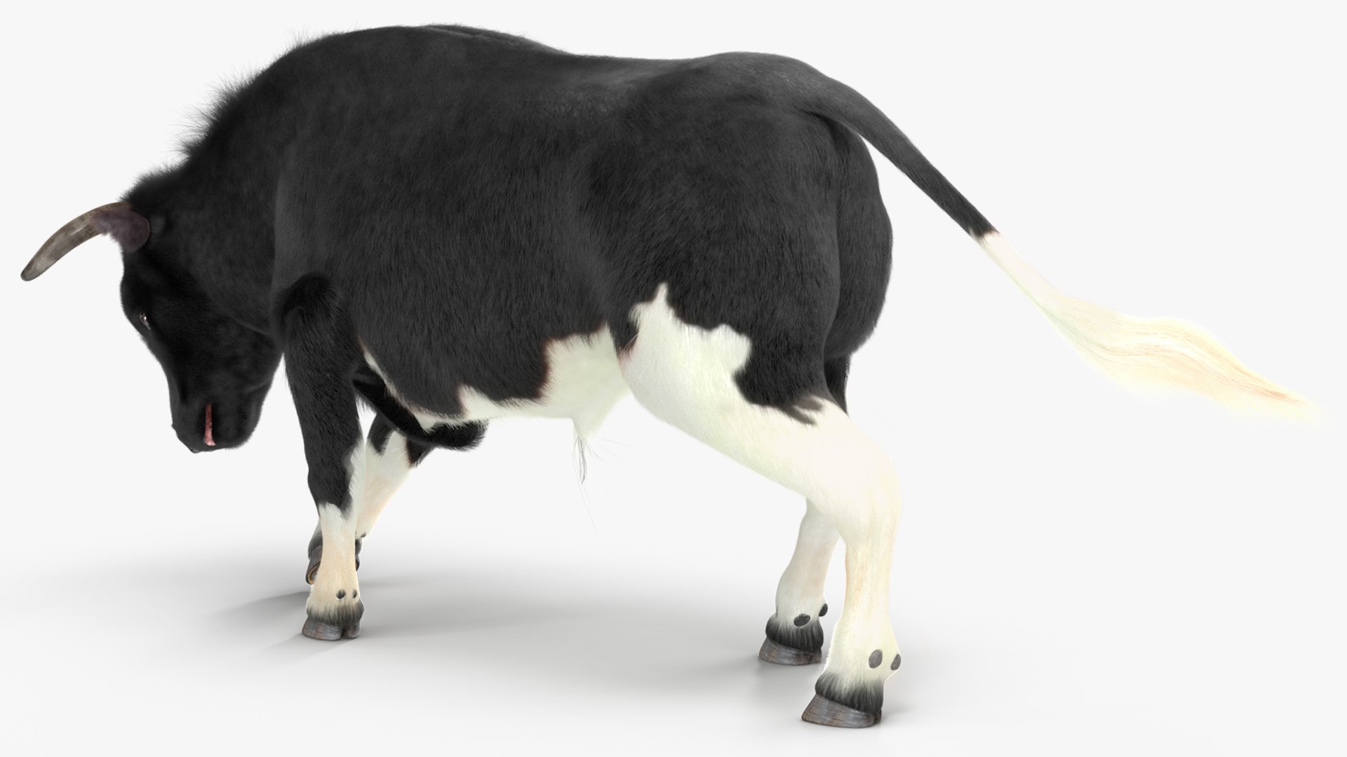 Black Bull Fur Rigged 3D model - TurboSquid 1984592