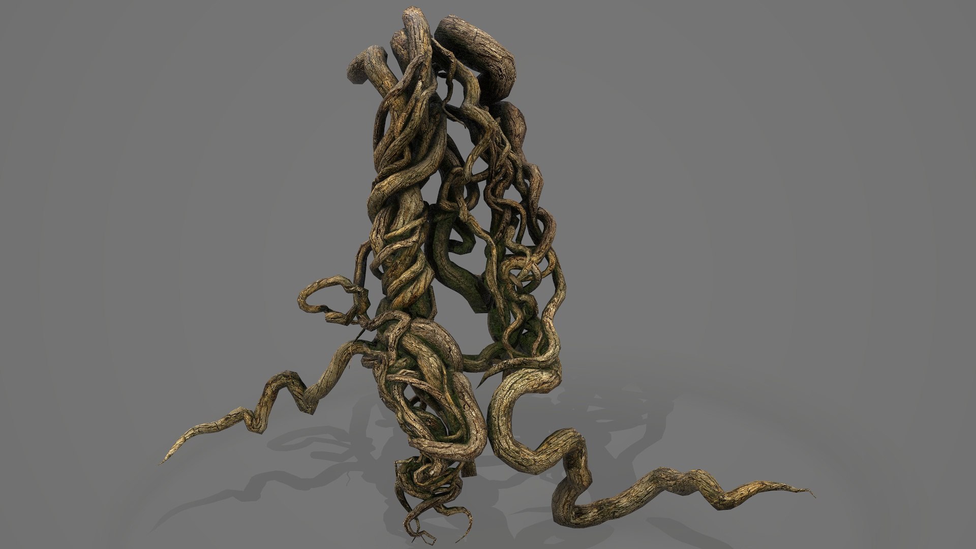 Tree Roots V6 PBR 3D Model - TurboSquid 2360951