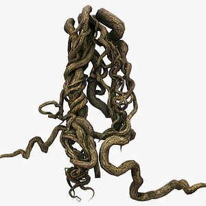 Tree Roots V6 PBR 3D model