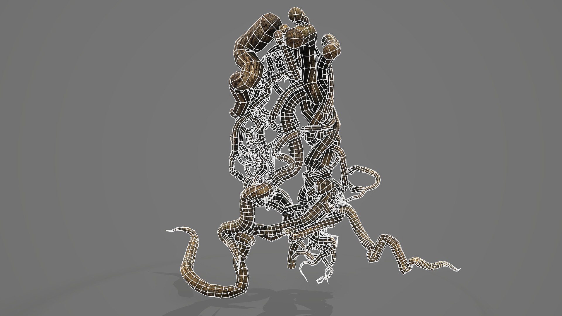 Tree Roots V6 PBR 3D Model - TurboSquid 2360951