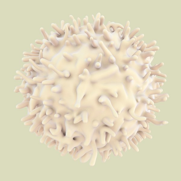 3D lymphocytes neutrophil basophil - TurboSquid 1168937