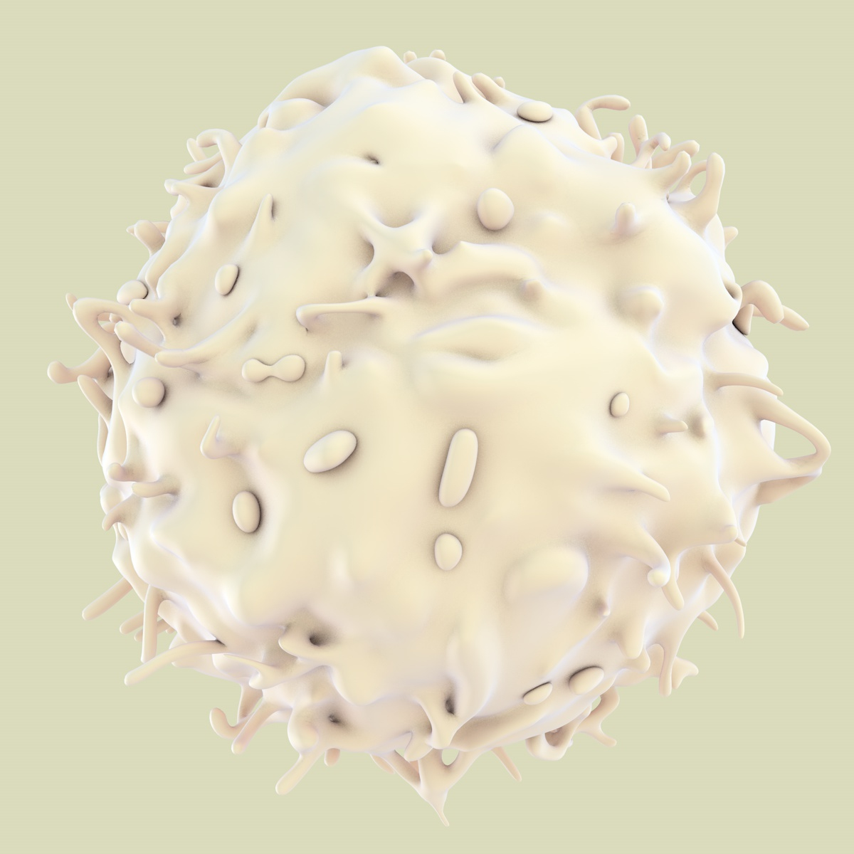 3D lymphocytes neutrophil basophil - TurboSquid 1168937