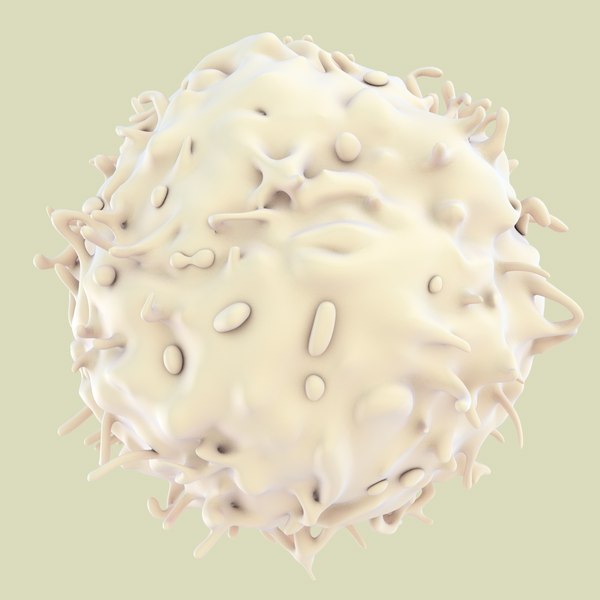 3d Lymphocytes Neutrophil Basophil - Turbosquid 1168937