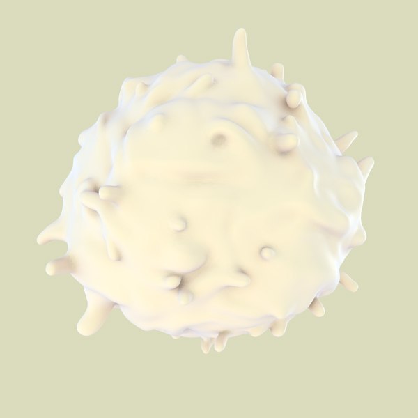 3D lymphocytes neutrophil basophil - TurboSquid 1168937