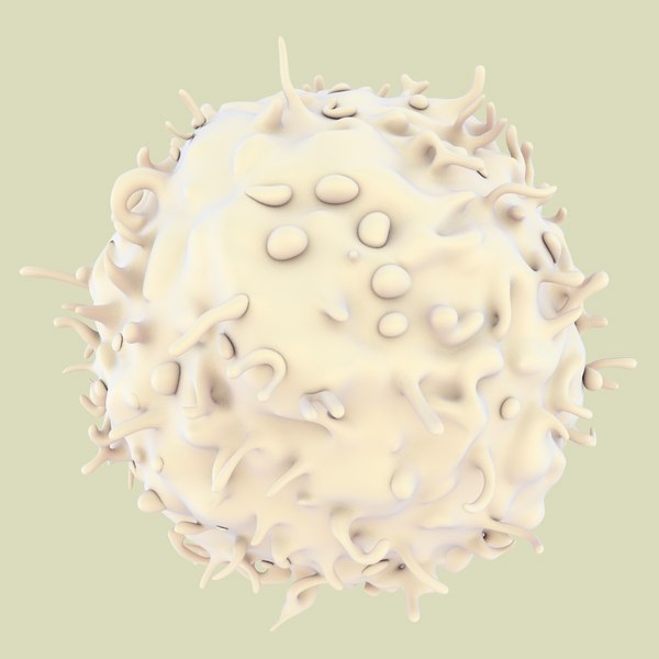 3D lymphocytes neutrophil basophil - TurboSquid 1168937