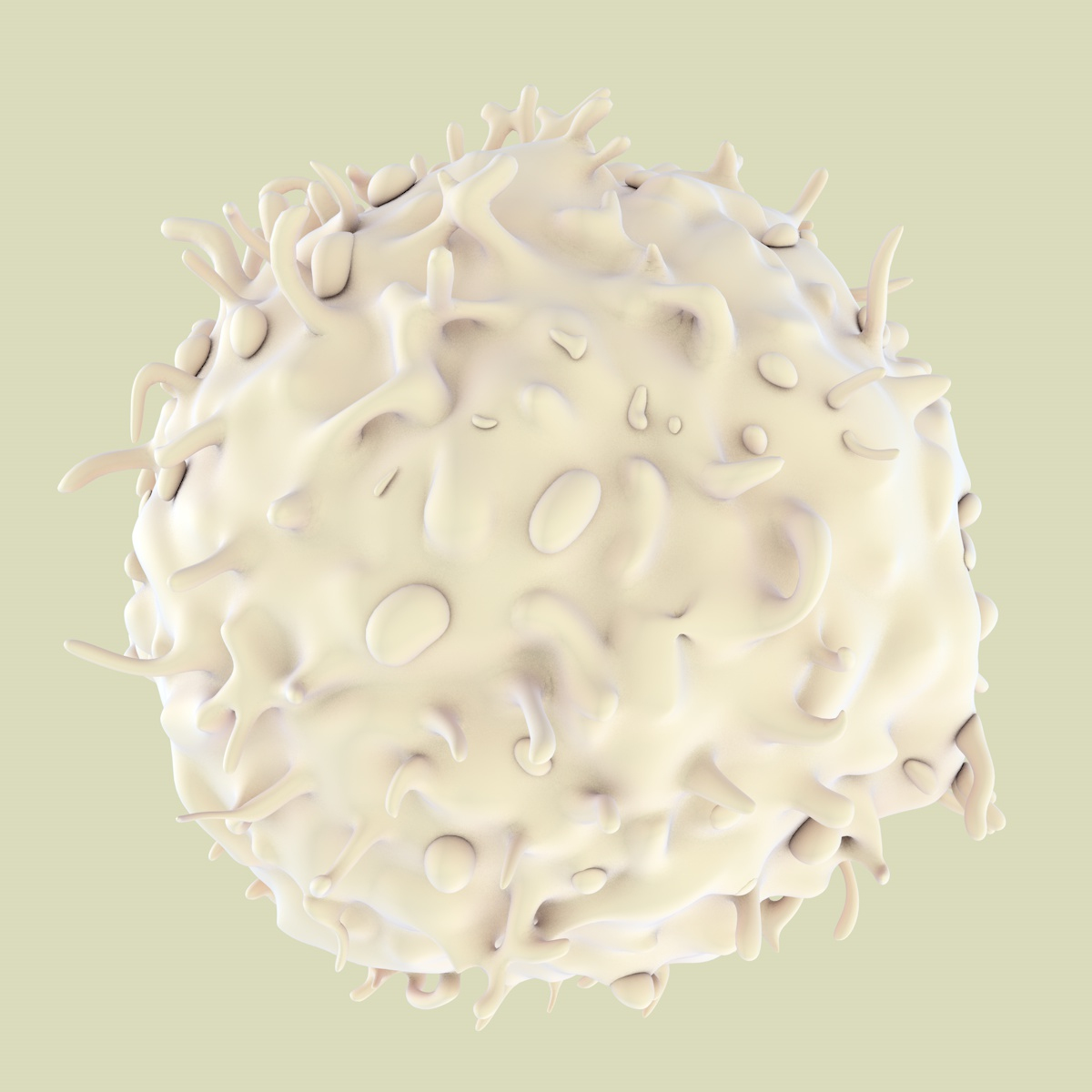 3D lymphocytes neutrophil basophil - TurboSquid 1168937