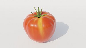 tomato 3D model