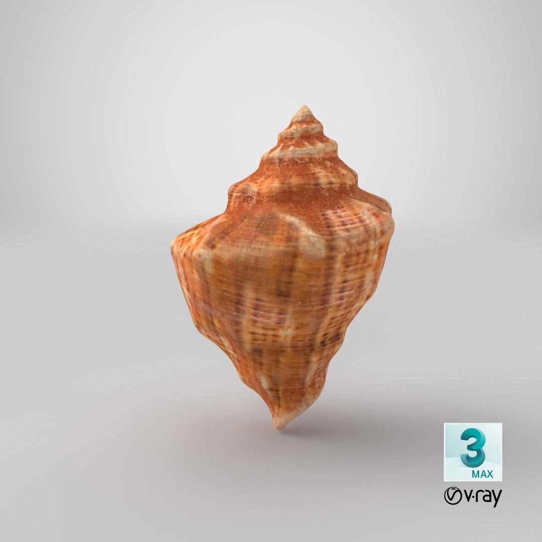 3D seashell real https://p.turbosquid.com/ts-thumb/Ov/C25T67/AqLKWfEP/stemcell_max_vray_render/png/1601496760/1920x1080/fit_q87/2eada3ffdf5fb47aedd694f595a330cd27ac1f63/stemcell_max_vray_render.jpg