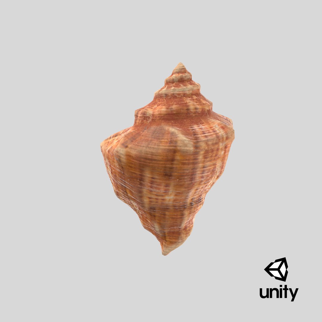 3D seashell real https://p.turbosquid.com/ts-thumb/Ov/C25T67/NSACRqeQ/stemcell_unity_render/png/1601496746/1920x1080/fit_q87/ec57fffd465395df3fe03030b9fb676fef93edab/stemcell_unity_render.jpg