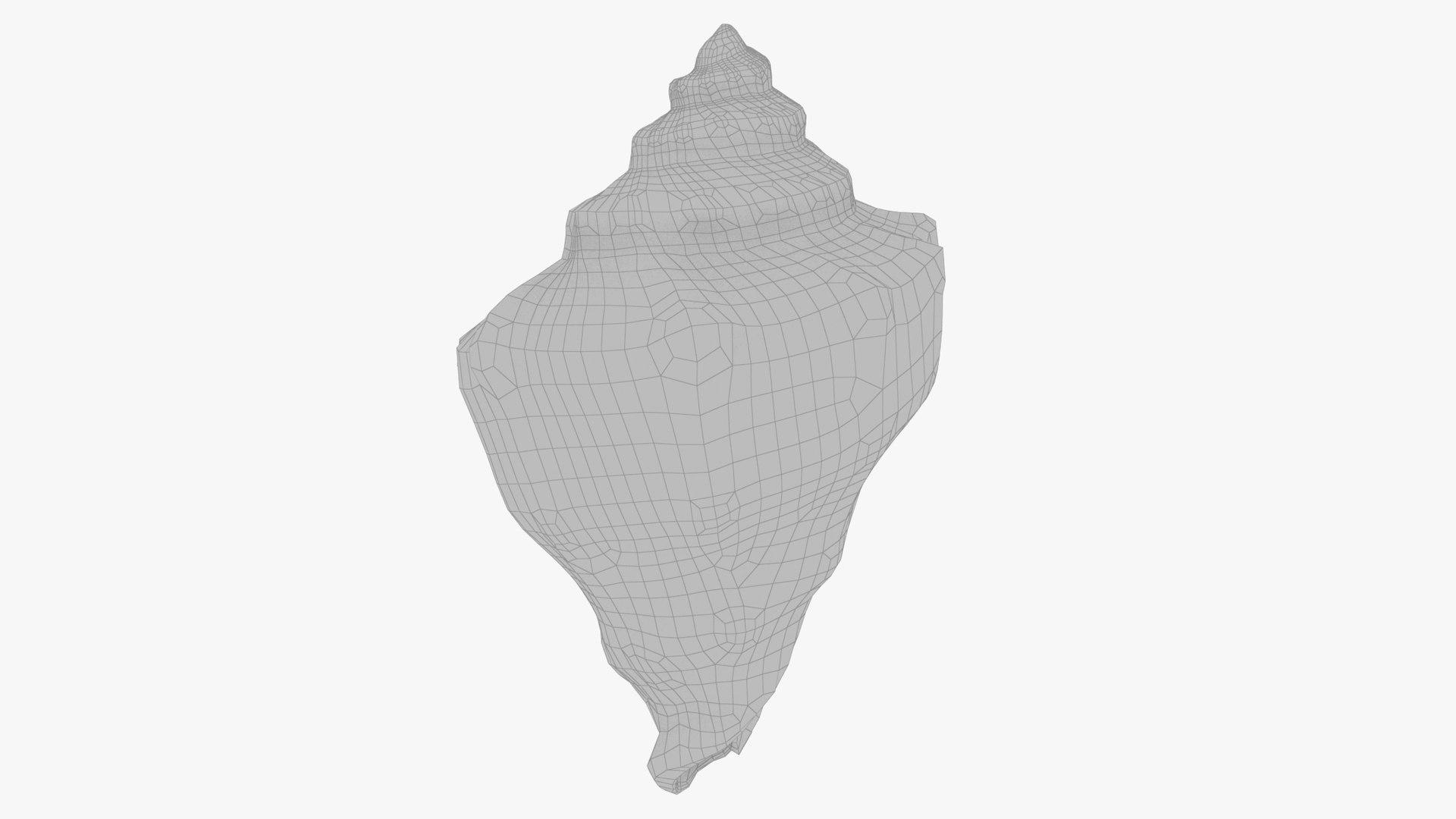 3D Seashell Real - TurboSquid 1628087