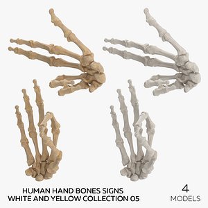 3D Human Hand Bones Signs White and Yellow Collection 05 - 4 models model