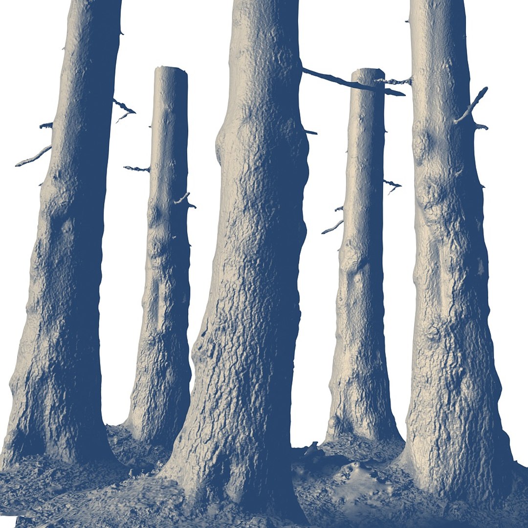 pine tree 3d max https://p.turbosquid.com/ts-thumb/Ov/MnjijG/XmRZ986k/44323/jpg/1427159053/1920x1080/fit_q87/80ad226733e7cb6d97519264cbc496137df5f25f/44323.jpg