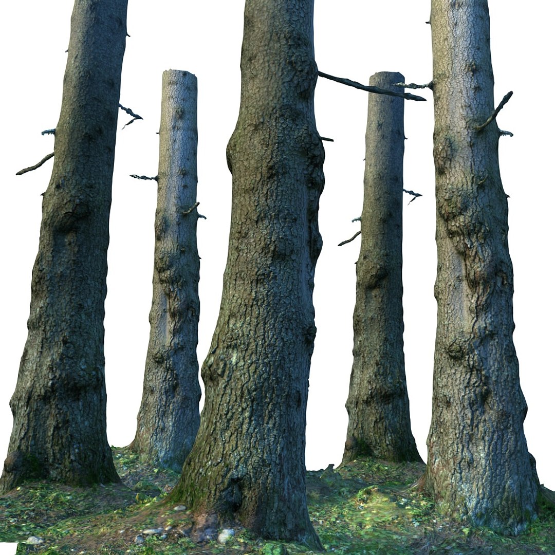 pine tree 3d max https://p.turbosquid.com/ts-thumb/Ov/MnjijG/b4PPvRZd/4432/jpg/1427159053/1920x1080/fit_q87/591c28176bb49e17dd3d859fee691e30d9d06425/4432.jpg