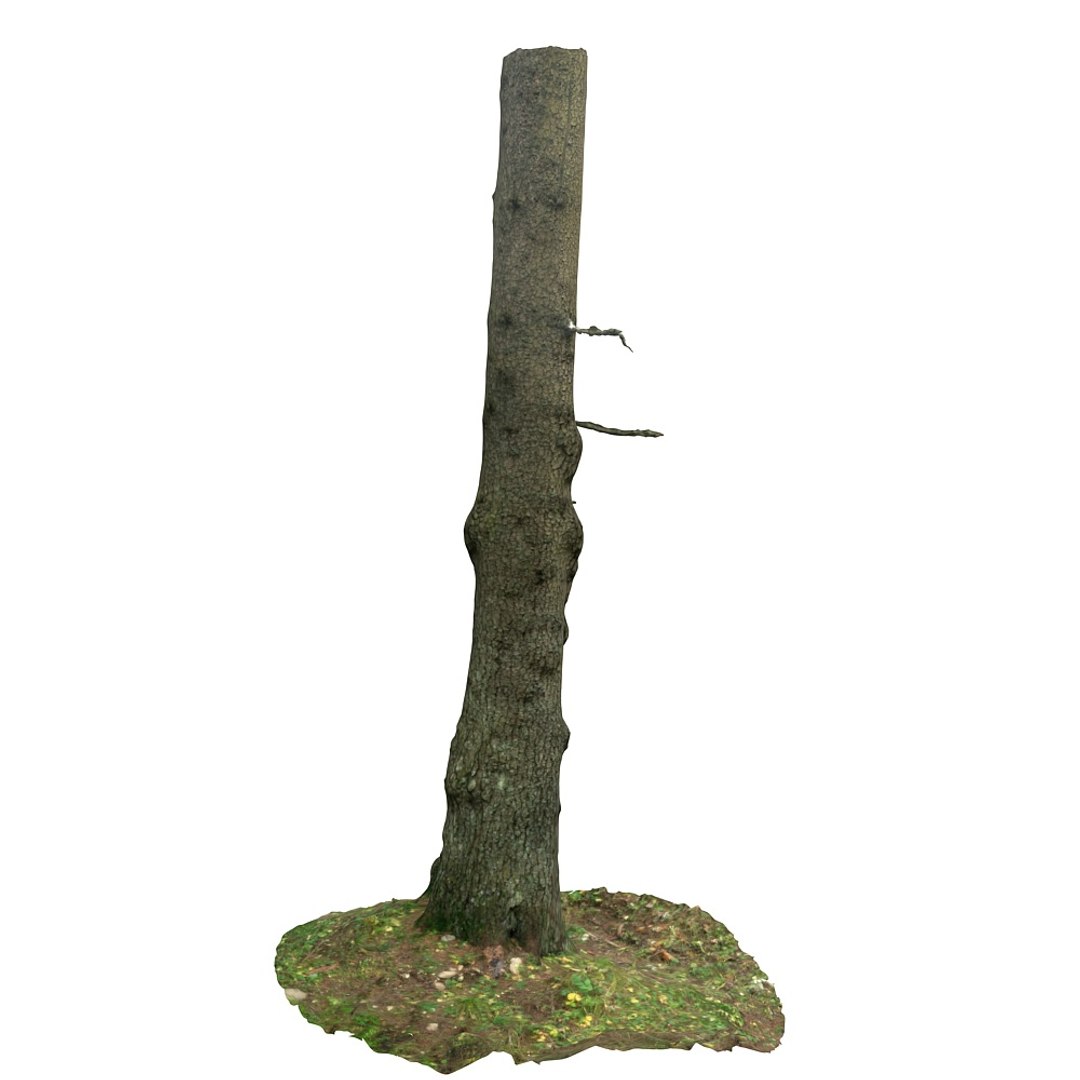 pine tree 3d max https://p.turbosquid.com/ts-thumb/Ov/MnjijG/dtnWfX6h/33121/jpg/1427159053/1920x1080/fit_q87/c1ce3241ee0da4c88b3414529a8a0f187b4061e6/33121.jpg