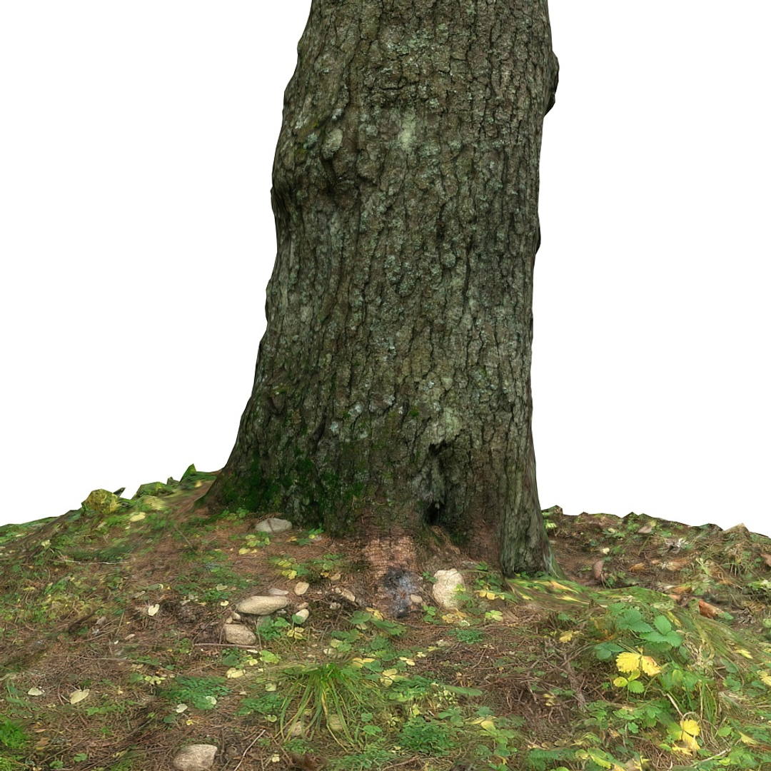 pine tree 3d max https://p.turbosquid.com/ts-thumb/Ov/MnjijG/gHTDxOMw/0000/jpg/1427159050/1920x1080/turn_fit_q99/31032b7017a38c72acdbcbb22b5a4bb5b70888f2/0000-1.jpg