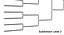 Tournament Bracket