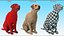 Begging White Labrador Dog Pose Fur Animated Rigged for Cinema 4D 3D model