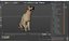 Begging White Labrador Dog Pose Fur Animated Rigged for Cinema 4D 3D model