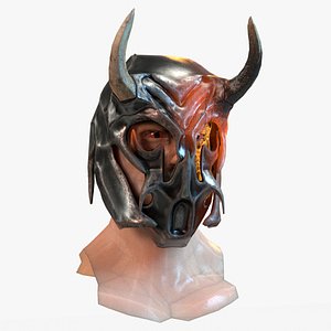Warrior Head and Helmet 3D
