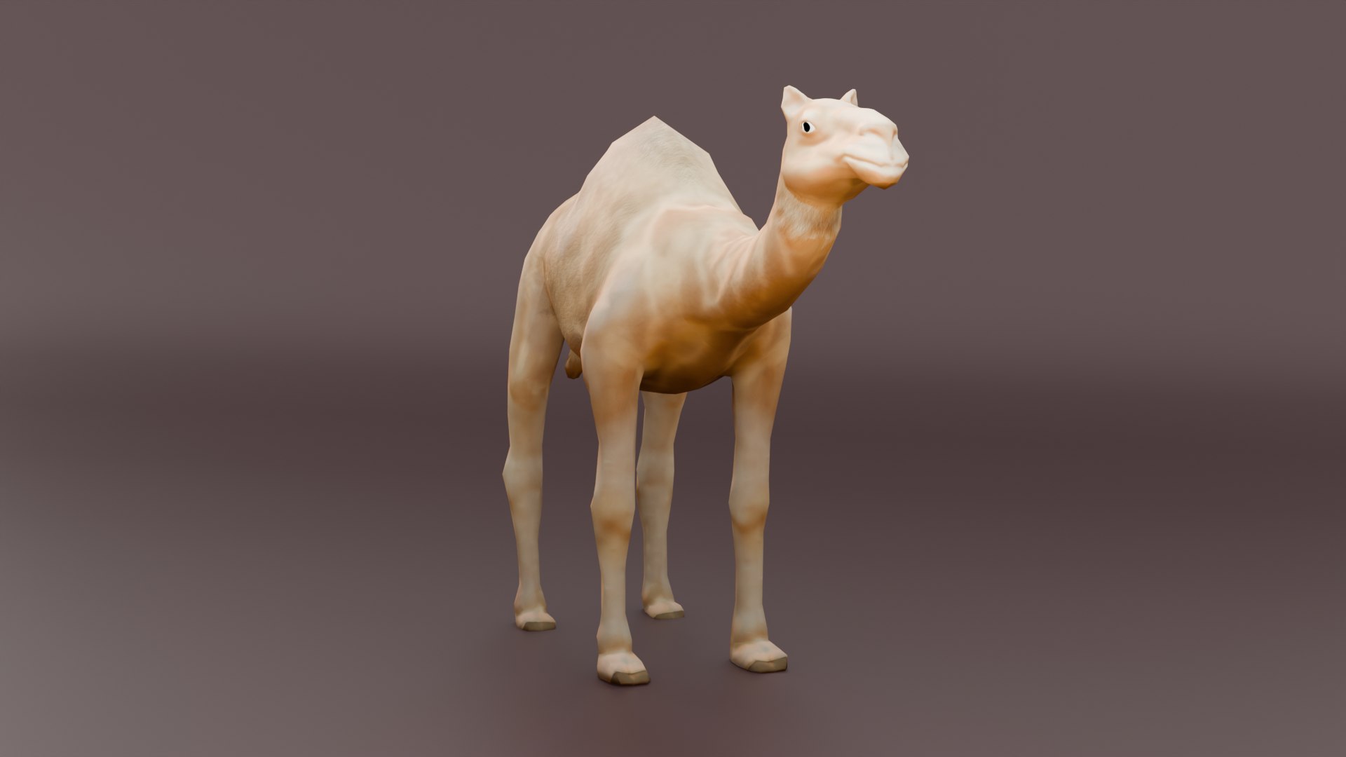 3D Game Ready Low Poly Camel 3D Model https://p.turbosquid.com/ts-thumb/Ov/cCPlzo/01/0003/png/1735885292/1920x1080/fit_q87/00734be65e724c99f05dab431bf939b27617f097/0003.jpg