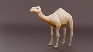 3D Game Ready Low Poly Camel 3D Model