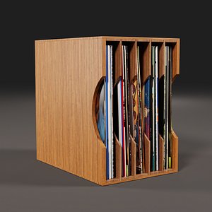 Vinyl Storage No-48