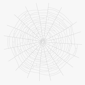 web cob cobweb 3D model