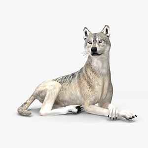 Wolf Rigged for Cinema 4D