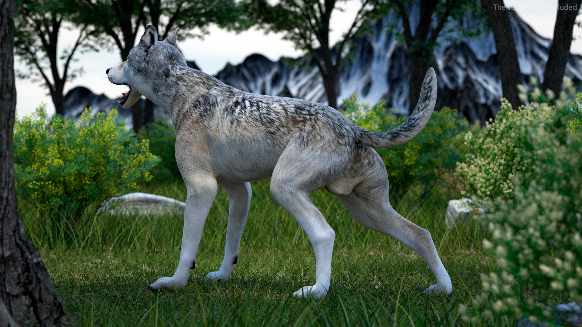 3D Model Wolf Rigged For Cinema 4D - TurboSquid 2249633