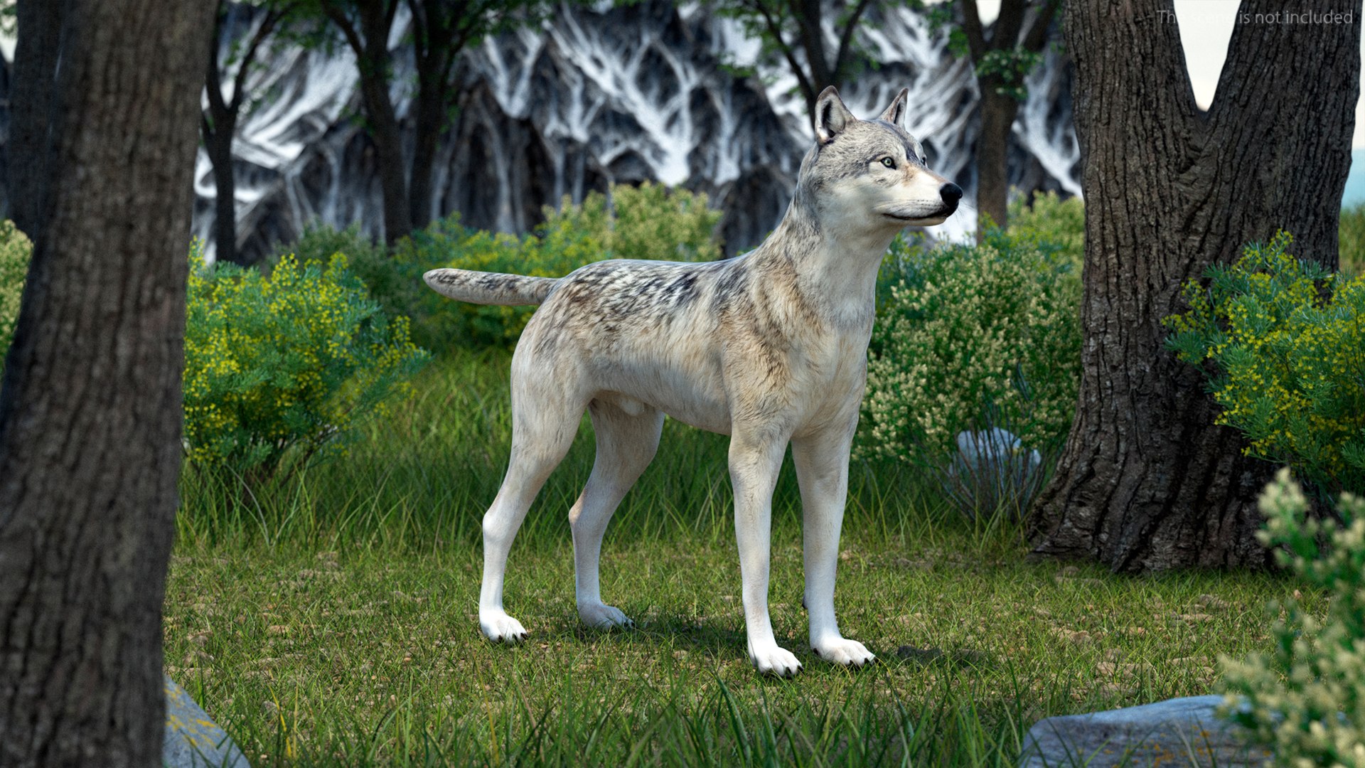 3D Model Wolf Rigged For Cinema 4D - TurboSquid 2249633