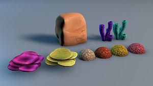 coral 3D model
