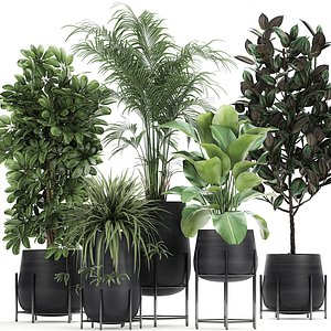 3D plant flowerpots