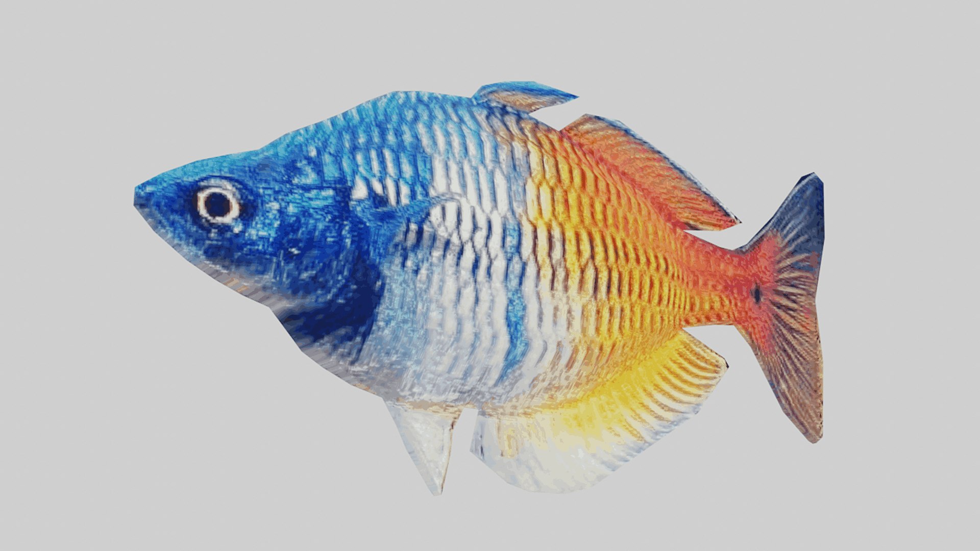 Fish collection-Set of 5 Low poly 3D model - TurboSquid 2119865